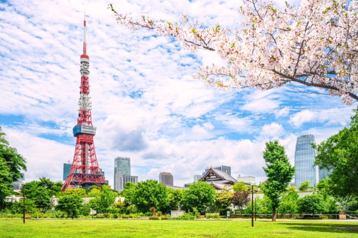 Explore Japan Tour
