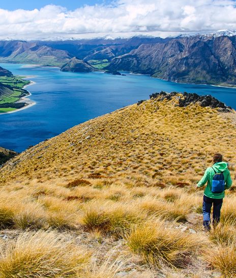 New Zealand