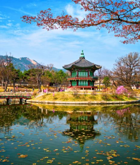South Korea (1)